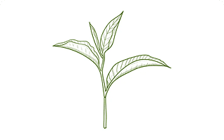 High Quality Ingredients